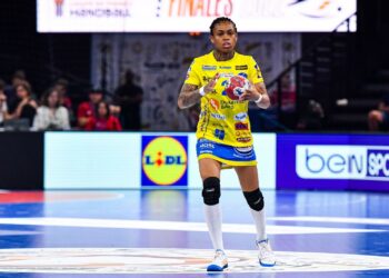 Lidl se rapproche de la ligue féminine de handball