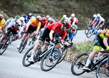 Arkéa continue de rouler auprès de son équipe cycliste