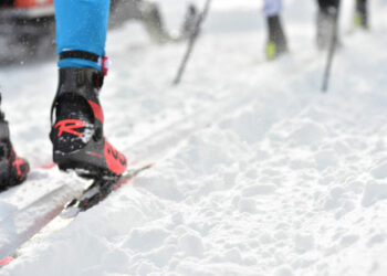 La Lettre du Sponsoring n° 497