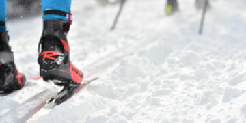 La Lettre du Sponsoring n° 497