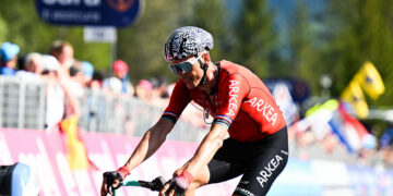 B&B Hotels revient en 2024