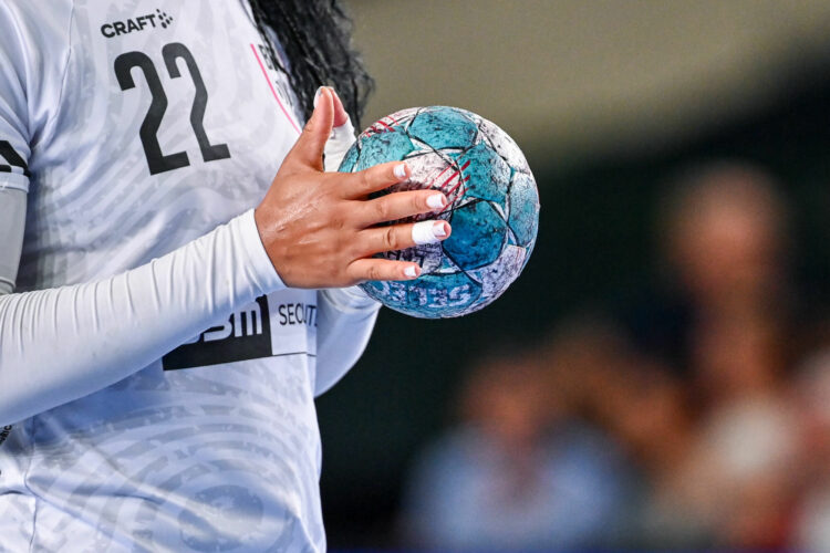 Lidl, un partenaire reconnu du handball français