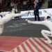 Azza Fencing accompagne la relève de l’escrime