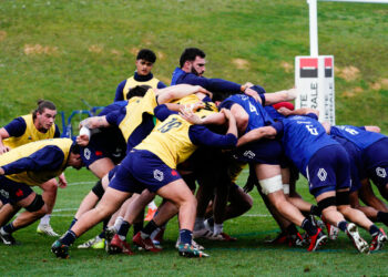 Renault devient Partenaire Premium