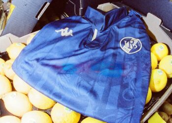 Kappa rend hommage au MIN de de Rungis