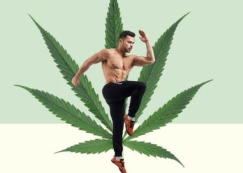 CBD Et Fitness : Comment Les Athlètes Utilisent Le CBD Pour La Récupération Et La Performance