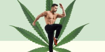 CBD Et Fitness : Comment Les Athlètes Utilisent Le CBD Pour La Récupération Et La Performance