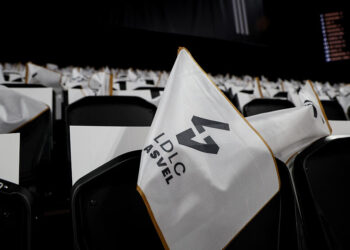 L’Asvel met en demeure Fedcom