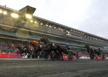 Eqwin s’affiche auprès des Prix de France et de Paris Amérique Races