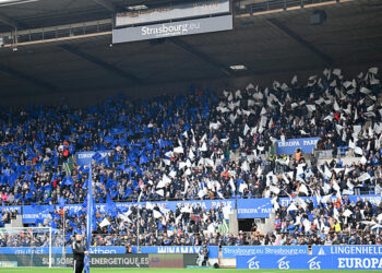 Un partenariat autour de l’expérience familiale à la Meinau