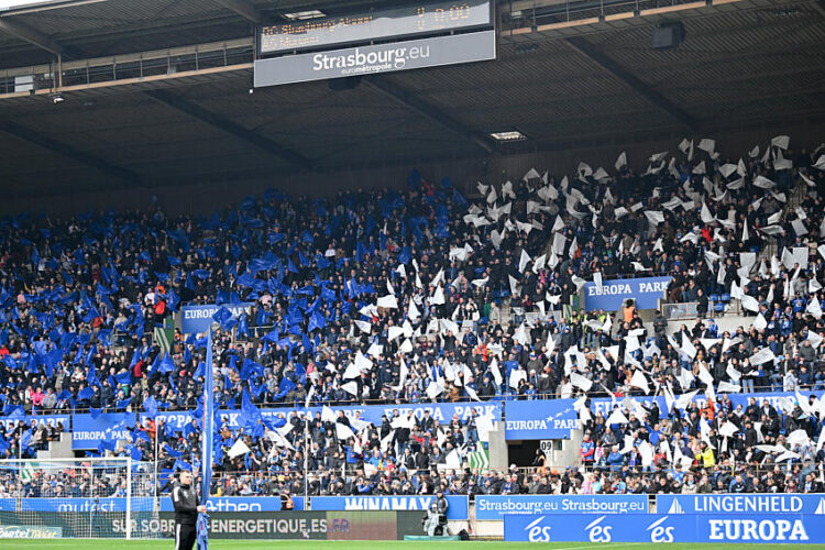 Un partenariat autour de l’expérience familiale à la Meinau