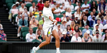 Novak Djokovic se mue en « conseiller stratégique »